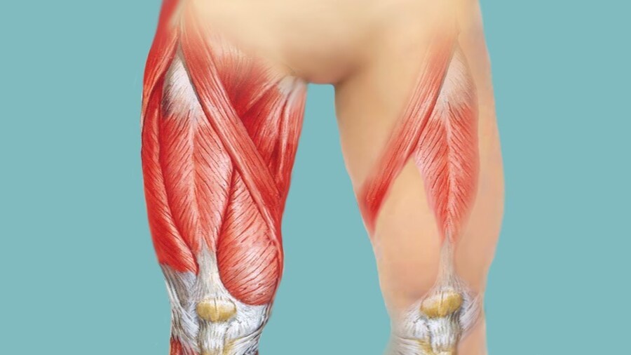 Диагностика последствий растяжения мышц бедра и тазобедренных суставов